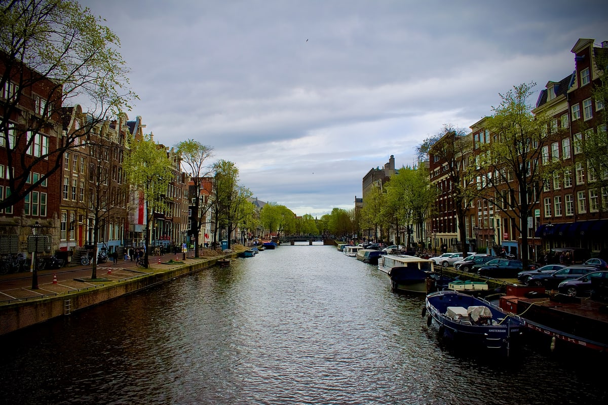 A tree-lined Amsterdam canal with boats moored beside tall brick houses.
