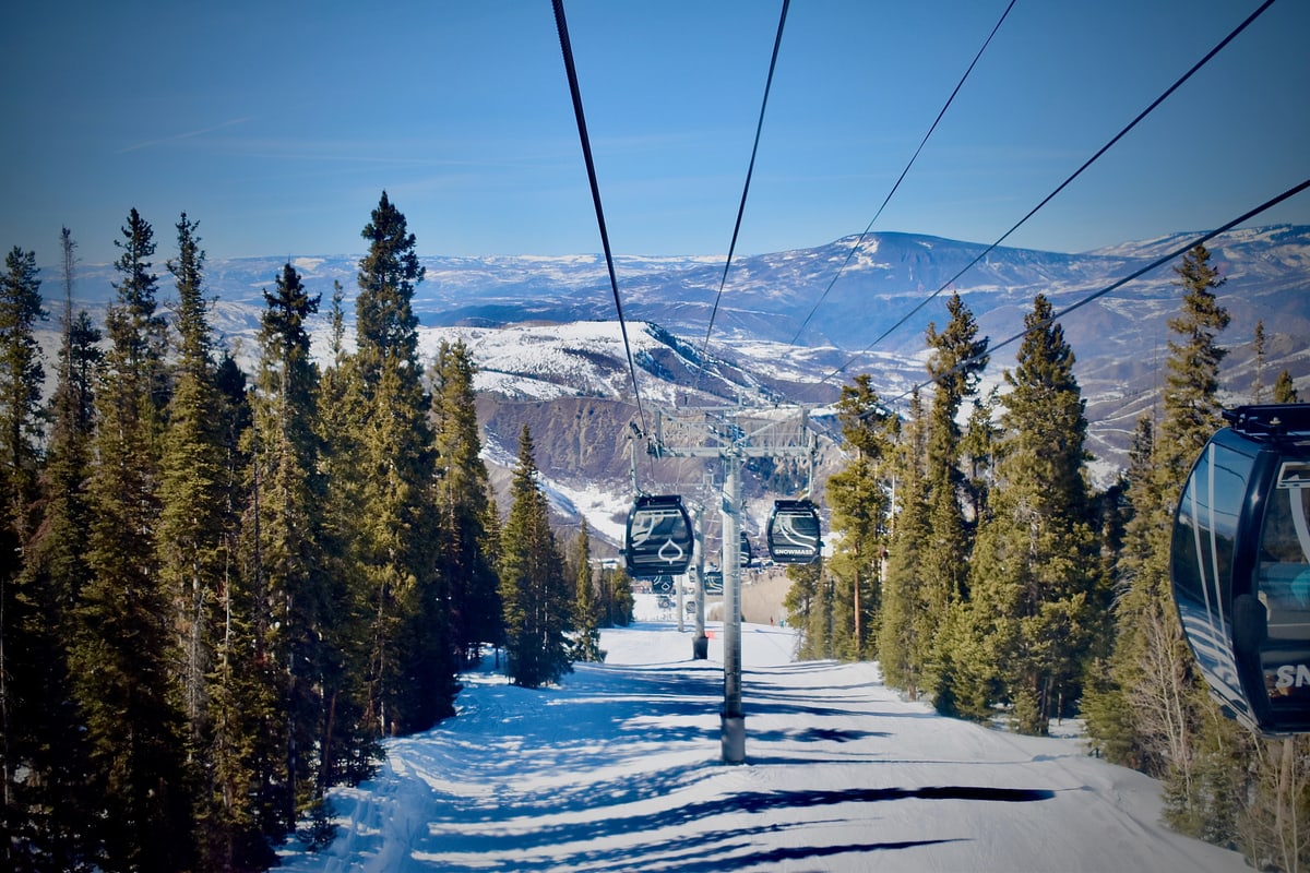 Gondola cars glide over a snowy run between tall pine trees.