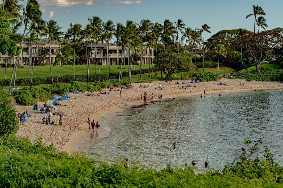 A crescent of sand and calm water lined with palm trees and beachgoers.